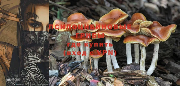дурь Алексин