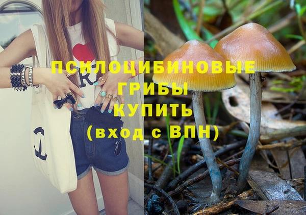 спайс Алзамай