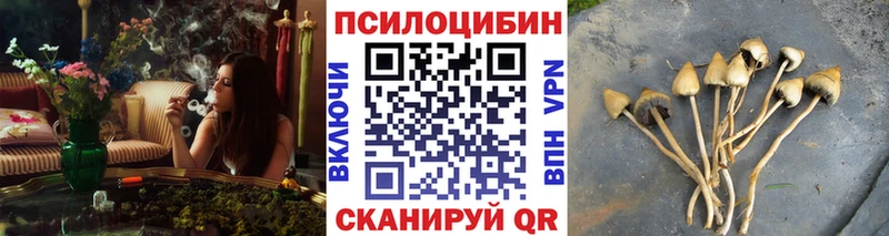 Псилоцибиновые грибы прущие грибы  Кувшиново 